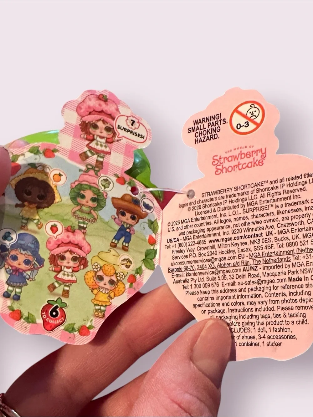 CASE ONLY LOL Doll Strawberry Shortcake Cases House Display
